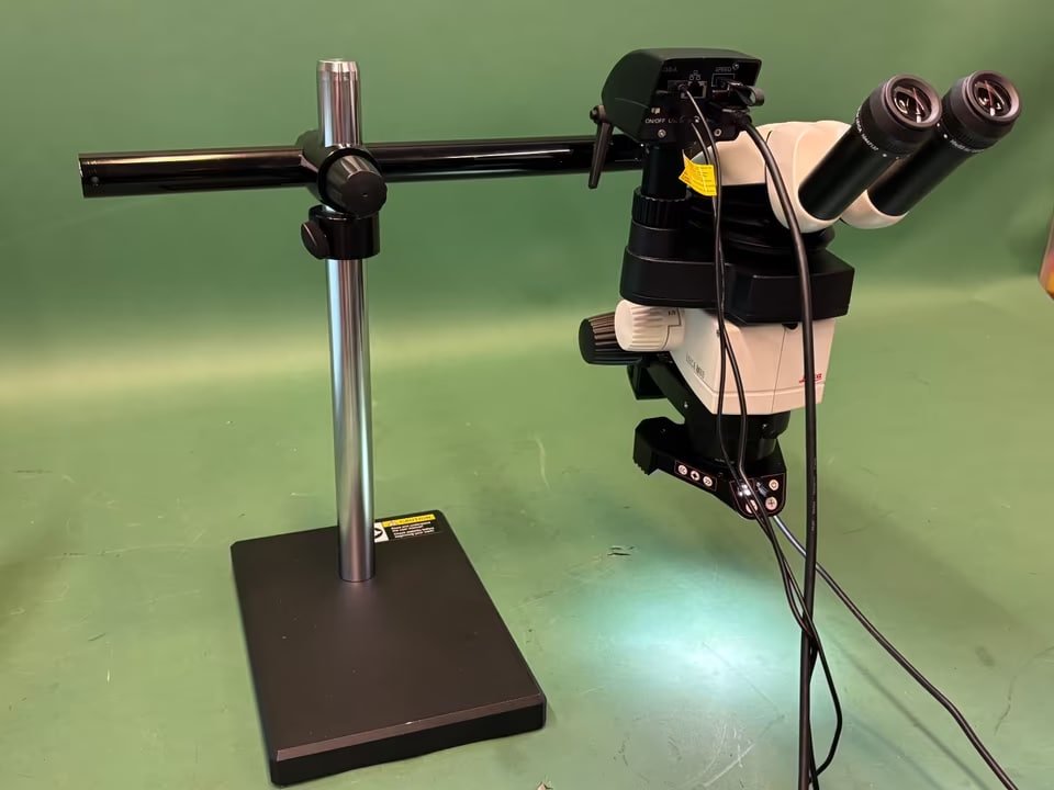 Microscopio stereoscopico Leica M80 Flexacam C5 ErgoTube